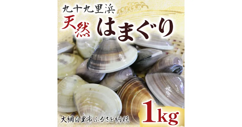 【ふるさと納税】【先行受付2024年10月配送】 九十九里浜　天然はまぐり　1kg【厳選】ふるさと納税 はまぐり ハマグリ 蛤 天然 九十九里産 国産 ひな祭り 節句 おせち 千葉県 大網白里市 送料無料 P001