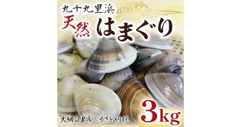 【ふるさと納税】 【先行受付2024年10月配送】九十九里浜　天然はまぐり　3kg【厳選】ふるさと納税 はまぐり ハマグリ 蛤 天然 九十九里産 国産 ひな祭り 節句 おせち 千葉県 大網白里市 送料無料 P002