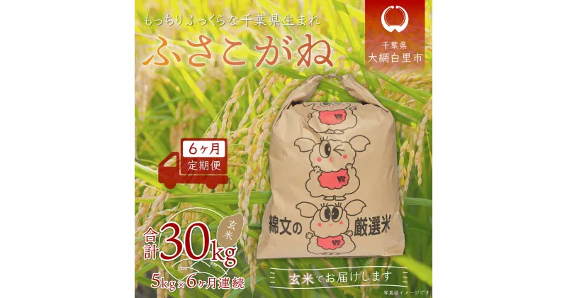 【ふるさと納税】＜6ヶ月定期便＞千葉県産「ふさこがね」玄米5kg×6ヶ月連続 計30kg ふるさと納税 玄米 定期便 5kg ふさこがね 千葉県 大網白里市 送料無料 A017