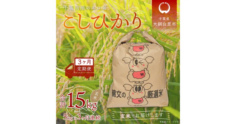 【ふるさと納税】＜3ヶ月定期便＞千葉県産エコ米「コシヒカリ」玄米5kg×3ヶ月連続 計15kg ふるさと納税 玄米 定期便 5kg コシヒカリ エコ米 米 千葉県 大網白里市 送料無料 A018