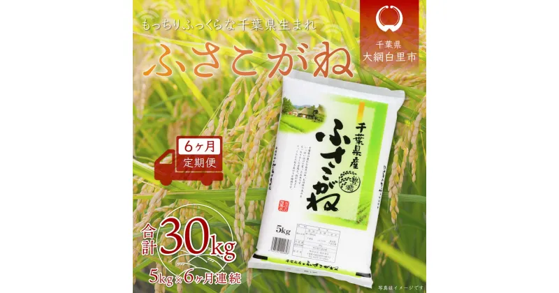 【ふるさと納税】＜6ヶ月定期便＞千葉県産「ふさこがね」5kg×6ヶ月連続 計30kg ふるさと納税 米 定期便 5kg 6カ月 ふさこがね 千葉県 大網白里市 送料無料 A021