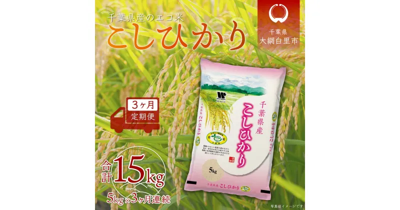 【ふるさと納税】＜3ヶ月定期便＞千葉県産エコ米「コシヒカリ」5kg×3ヶ月連続 計15kg ふるさと納税 米 定期便 5kg コシヒカリ エコ米 千葉県 大網白里市 送料無料 A022