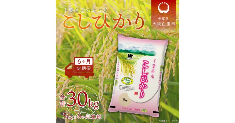 【ふるさと納税】＜6ヶ月定期便＞千葉県産エコ米「コシヒカリ」5kg×6ヶ月連続 計30kg ふるさと納税 米 定期便 5kg コシヒカリ エコ米 千葉県 大網白里市 送料無料 A023