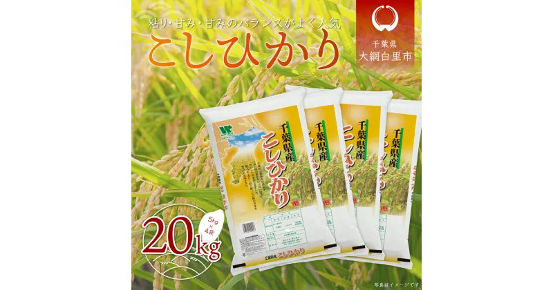 【ふるさと納税】【新米】令和6年産 千葉県産「コシヒカリ」20kg（5kg×4袋） ふるさと納税 米 20kg コシヒカリ 千葉県 大網白里市 送料無料 A024