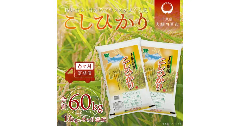 【ふるさと納税】＜6ヶ月定期便＞千葉県産「コシヒカリ」10kg×6ヶ月連続 計60kg ふるさと納税 米 定期便 10kg 6カ月 コシヒカリ 千葉県 大網白里市 送料無料 A028