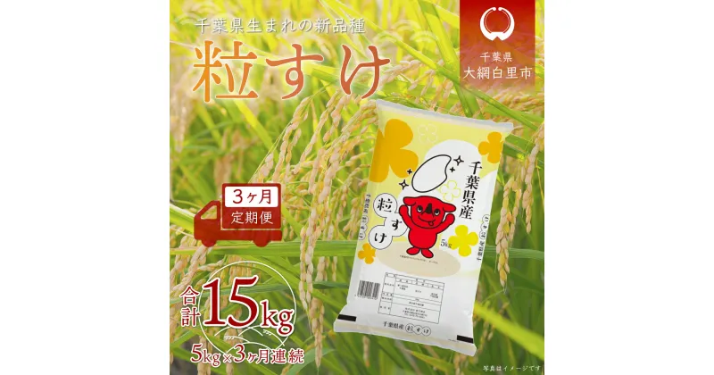 【ふるさと納税】＜3ヶ月定期便＞千葉県産「粒すけ」5kg×3ヶ月連続 計15kg ふるさと納税 米 定期便 5kg 3カ月 粒すけ 千葉県 大網白里市 送料無料 A029