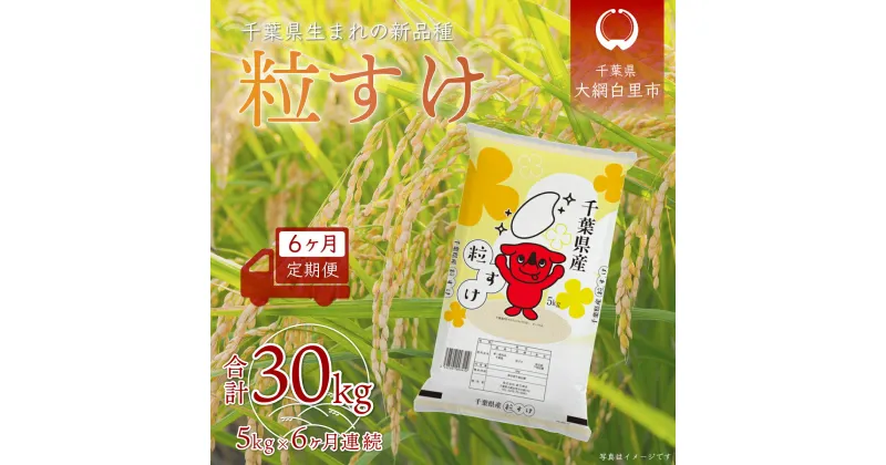 【ふるさと納税】＜6ヶ月定期便＞千葉県産「粒すけ」5kg×6ヶ月連続 計30kg ふるさと納税 米 定期便 5kg 6カ月 粒すけ 千葉県 大網白里市 送料無料 A030