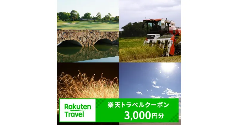 【ふるさと納税】千葉県大網白里市の対象施設で使える楽天トラベルクーポン 寄附額 10,000円 ふるさと納税 旅行 トラベル 旅行券 宿泊券 予約 チケット 温泉 ホテル 観光 楽天限定 Y001