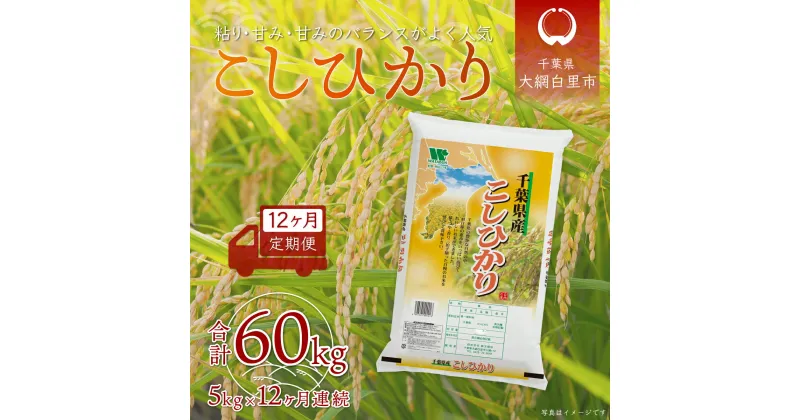 【ふるさと納税】＜12ヶ月定期便＞千葉県産「コシヒカリ」5kg×12ヶ月連続 計60kg ふるさと納税 米 定期便 5kg コシヒカリ 千葉県 大網白里市 送料無料 A033