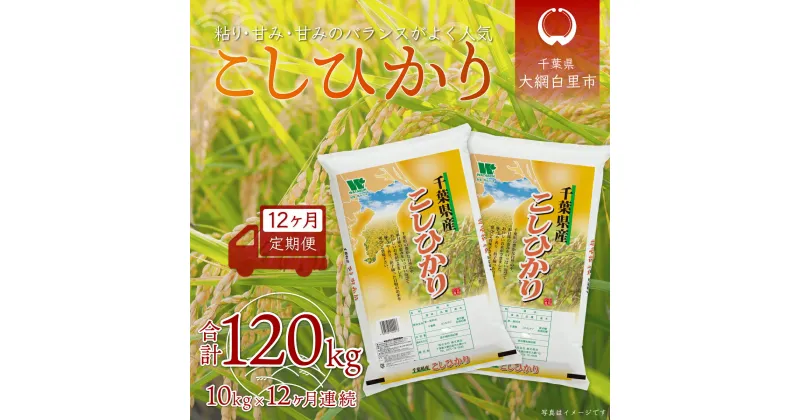 【ふるさと納税】＜12ヶ月定期便＞千葉県産「コシヒカリ」10kg×12ヶ月連続 計120kg ふるさと納税 米 定期便 10kg コシヒカリ 千葉県 大網白里市 送料無料 A034