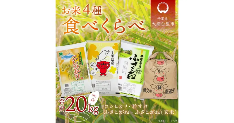 【ふるさと納税】【新米】令和6年産 お米4種食べくらべ 20kg（コシヒカリ、粒すけ、ふさこがね、ふさこがね玄米）各種5kg×1袋 ふるさと納税 米 20kg コシヒカリ 粒すけ ふさこがね 玄米 千葉県 大網白里市 送料無料 A037