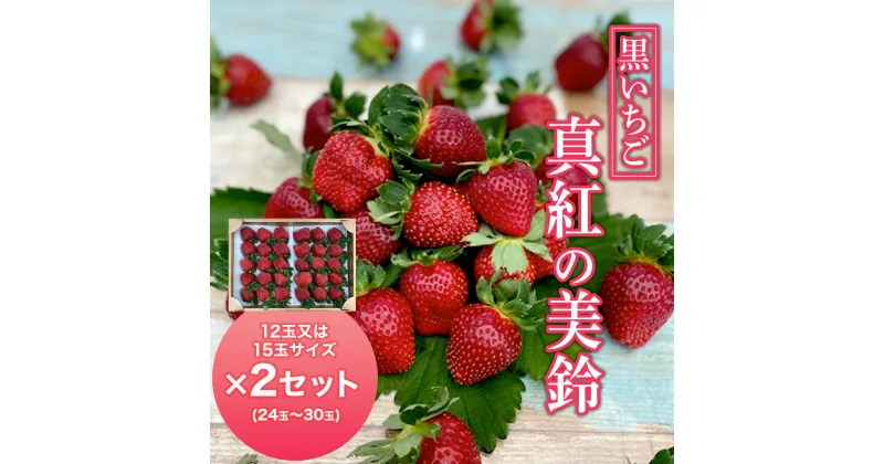 【ふるさと納税】 【2025年1月発送開始】＜黒いちご＞真紅の美鈴 大サイズ 12玉又は15玉×2セット ふるさと納税 いちご 苺 イチゴ 千葉 大網白里市 送料無料 AB001