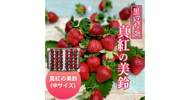 【ふるさと納税】【2025年1月発送開始】黒いちご・真紅の美鈴（中サイズ） ふるさと納税 いちご 黒いちご イチゴ 苺 国産 千葉県 大網白里市 送料無料 AB003