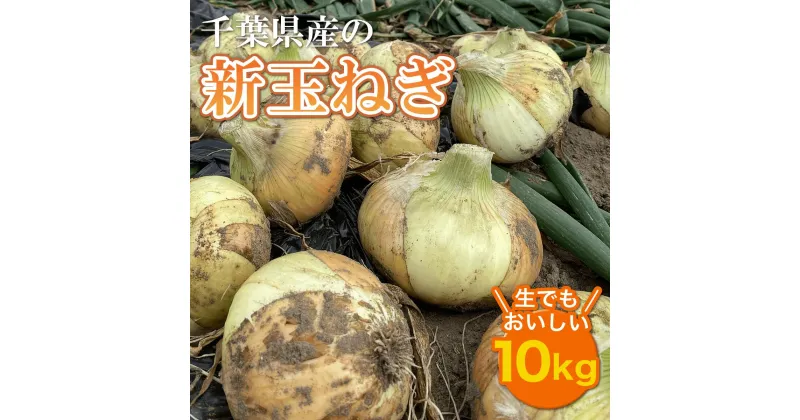 【ふるさと納税】【先行受付】千葉県産 新玉ねぎ10kg 生でもおいしい！【令和7年5月上旬から順次発送】玉ネギ たまねぎ タマネギ 玉葱 新玉ねぎ 新玉 10キロ 野菜 千葉県 大網白里市 送料無料 AD001