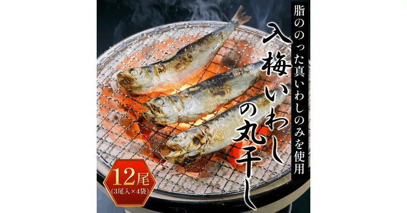 【ふるさと納税】 入梅いわしの丸干し 12尾（3尾入×4袋） ふるさと納税 いわし イワシ 鰯 魚 干物 乾物 魚介 千葉県 大網白里市 送料無料 AE001