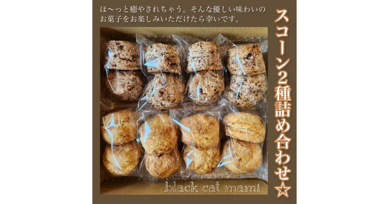 【ふるさと納税】 スコーン2種詰め合わせ☆ふるさと納税 焼菓子 詰め合わせ ギフト 千葉県 大網白里市 送料無料 AM002