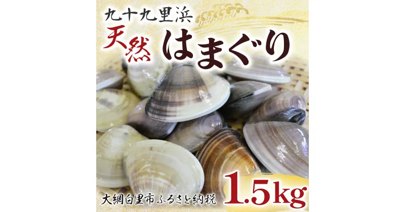 【ふるさと納税】【先行受付2024年10月配送】 九十九里浜　天然はまぐり　1.5kg【厳選】ふるさと納税 はまぐり ハマグリ 蛤 天然 九十九里産 国産 ひな祭り 節句 おせち 千葉県 大網白里市 送料無料 P007