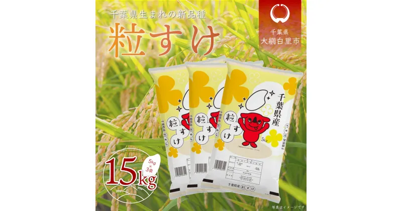 【ふるさと納税】【新米】 令和6年産 千葉県産「粒すけ」15kg（5kg×3袋）ふるさと納税 お米 15kg 千葉県産 大網白里市 粒すけ 米 精米 こめ 送料無料 A042