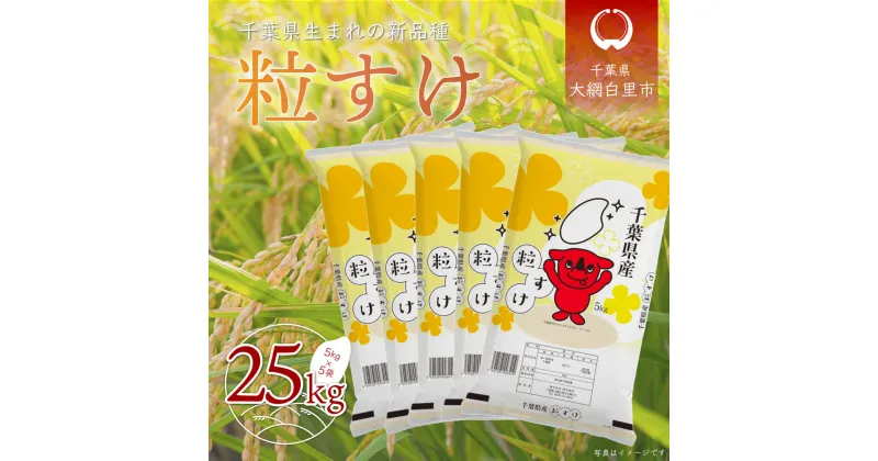 【ふるさと納税】【新米】令和6年産 千葉県産「粒すけ」25kg（5kg×5袋）ふるさと納税 お米 25kg 千葉県産 大網白里市 粒すけ 米 精米 こめ 送料無料 A043