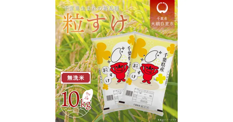 【ふるさと納税】【新米】令和6年産 千葉県産「粒すけ」10kg無洗米（5kg×2袋） ふるさと納税 お米 無洗米 10kg 千葉県産 大網白里市 粒すけ 米 こめ 送料無料 A044