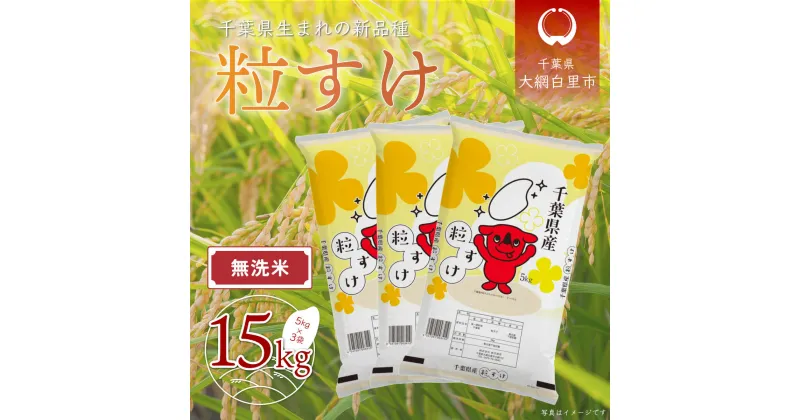 【ふるさと納税】【新米】令和6年産 千葉県産「粒すけ」15kg無洗米（5kg×3袋） ふるさと納税 お米 無洗米 15kg 千葉県産 大網白里市 粒すけ 米 こめ 送料無料 A045