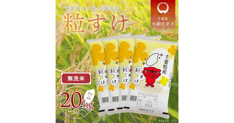 【ふるさと納税】【新米】令和6年産 千葉県産「粒すけ」20kg無洗米（5kg×4袋） ふるさと納税 お米 無洗米 20kg 千葉県産 大網白里市 粒すけ 米 こめ 送料無料 A046