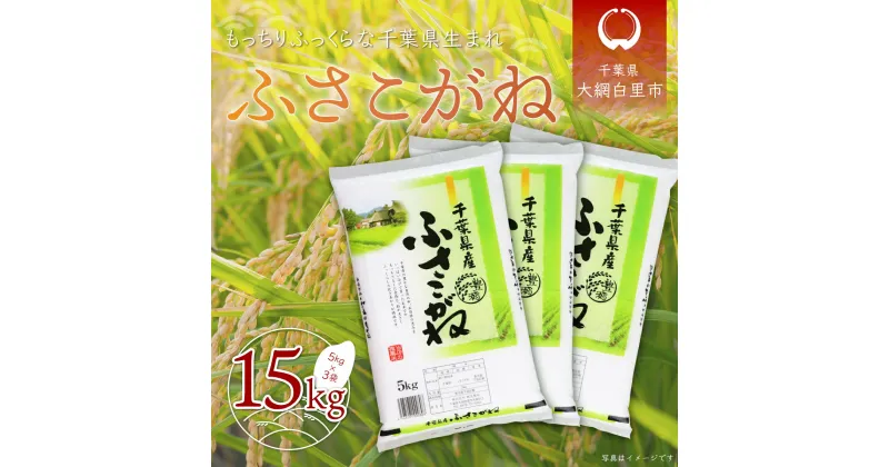 【ふるさと納税】【新米】令和6年産 千葉県産「ふさこがね」15kg（5kg×3袋） ふるさと納税 お米 15kg 千葉県産 大網白里市 ふさこがね 米 精米 こめ 送料無料 A048