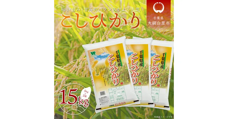 【ふるさと納税】【新米】令和6年産 千葉県産「コシヒカリ」15kg（5kg×3袋） お米 15kg 千葉県産 大網白里市 コシヒカリ 米 精米 こめ 送料無料 A049