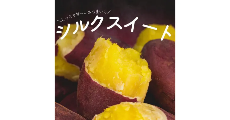 【ふるさと納税】甘～いサツマイモ「シルクスイート」 先行予約 数量限定 さつまいも 10kg 5kg 産地 千葉県 酒々井町