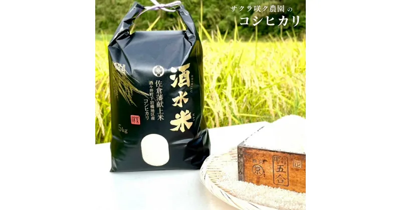 【ふるさと納税】令和6年度産 新米 酒々井町 産 酒水米 コシヒカリ 5kg 米5kg 2024年産 こめ 千葉 お米 こしひかり 農家直送 産地直送 旬 生鮮食品 生鮮 新鮮