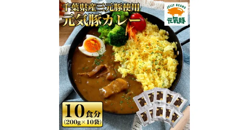 【ふるさと納税】【千葉県産三元豚使用】元気豚 カレーセット　2kg(200g×10食分)【配送不可地域：離島・沖縄県】【1032620】