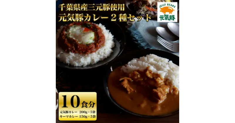 【ふるさと納税】元気豚カレー2種セット(元気豚カレー 5P、キーマカレー 5P　計10食分)【保存食・備蓄・ギフト】【配送不可地域：離島・沖縄県】【1380518】