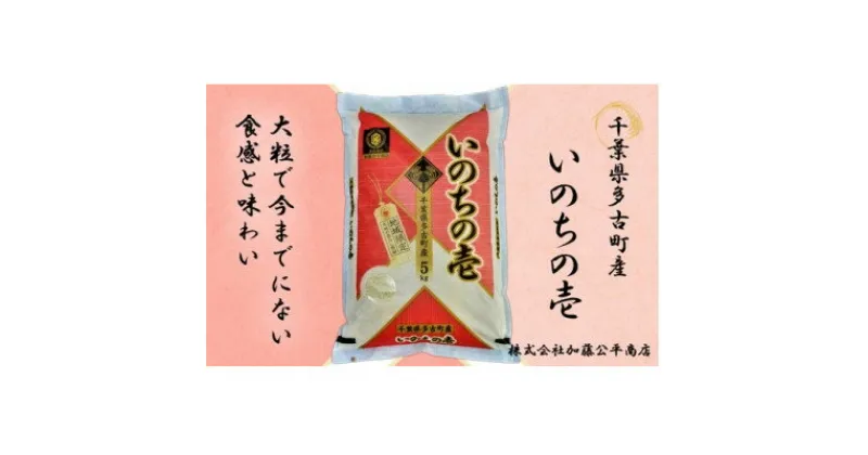 【ふるさと納税】【令和6年産】多古町産いのちの壱 精米5kg【配送不可地域：離島・沖縄県】【1396307】