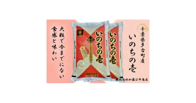 【ふるさと納税】【令和6年産】多古町産いのちの壱 精米10kg(5kg×2袋)【配送不可地域：離島・沖縄県】【1396308】