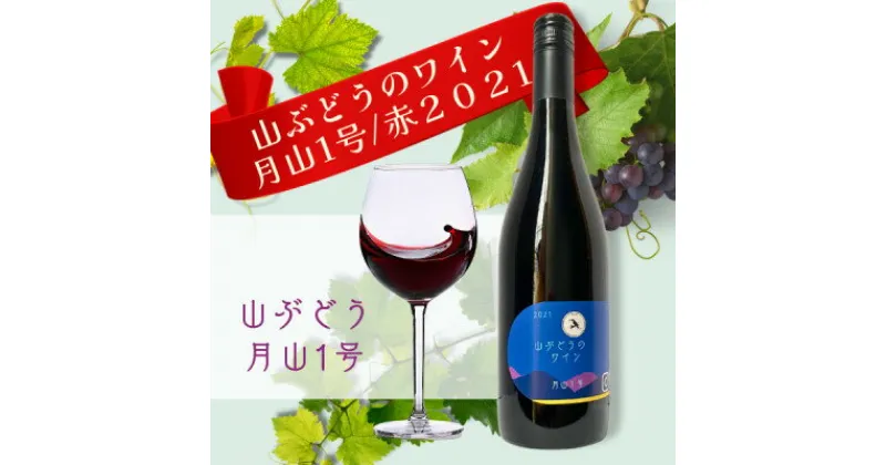 【ふるさと納税】多古ワイン2021・山ぶどう月山1号【赤】【日本ワイン】750ml・1本【配送不可地域：離島・沖縄県】【1403631】