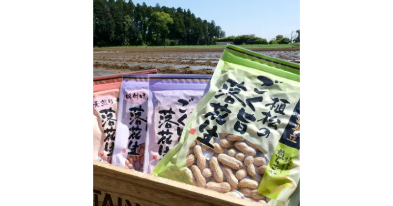 【ふるさと納税】千葉特産　高級品種[千葉半立]植松のごく旨落花生　4種詰め合わせセット【配送不可地域：離島・沖縄県】【1424512】