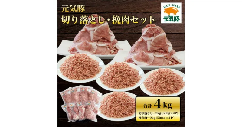 【ふるさと納税】元気豚 切り落とし・挽き肉セット 4kg(切り落とし 2kg・挽肉 2kg)便利なバラ凍結&小分包装【配送不可地域：離島・沖縄県】【1442743】