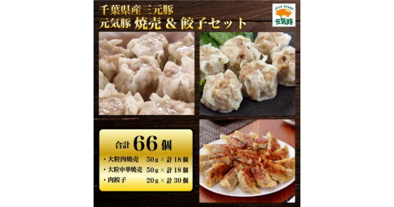 【ふるさと納税】元気豚　焼売&餃子セット(合計66個)【配送不可地域：離島・沖縄県】【1459598】