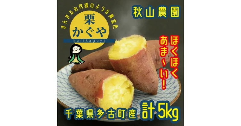 【ふるさと納税】秋山農園からさつまいも新品種「栗かぐや」(令和6年産)5kg【配送不可地域：離島・沖縄県】【1459865】