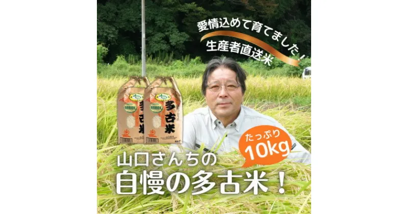 【ふるさと納税】山口さんちの【令和6年産】多古米コシヒカリ(精米)10kg【配送不可地域：離島・沖縄県】【1459866】