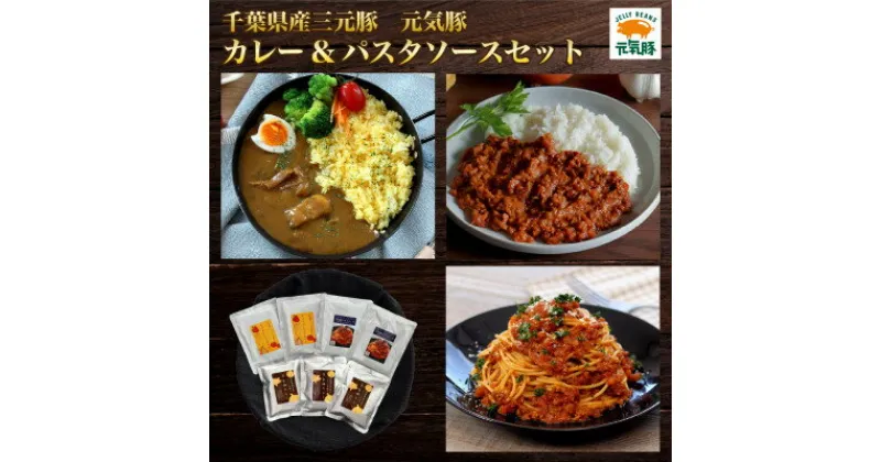 【ふるさと納税】【ギフト】元気豚　カレー&パスタソースセット【配送不可地域：離島・沖縄県】【1464847】