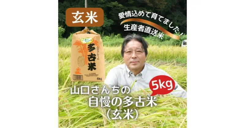 【ふるさと納税】山口さんちの【令和6年産】多古米コシヒカリ(玄米)5kg【配送不可地域：離島・沖縄県】【1481142】