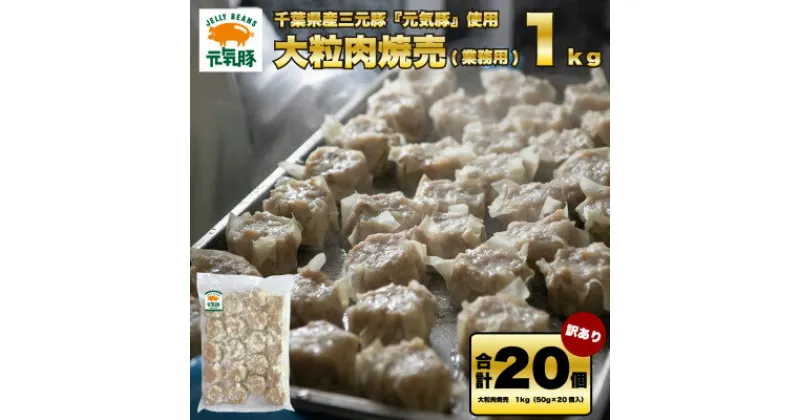 【ふるさと納税】訳あり　元気豚 大粒肉焼売 1kg(50g×20個入り)【配送不可地域：離島・沖縄県】【1506265】