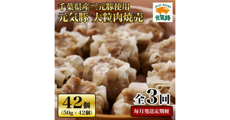 【ふるさと納税】【毎月定期便】元気豚 大粒肉焼売セット 42個セット(計2.1kg)全3回【配送不可地域：離島・沖縄県】【4055281】