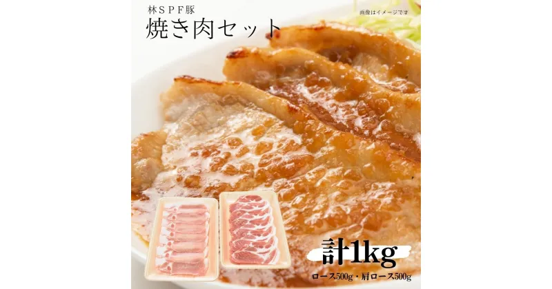 【ふるさと納税】 林SPF豚 焼き肉セット（シート巻き） ロース500g・肩ロース500g　計1kg