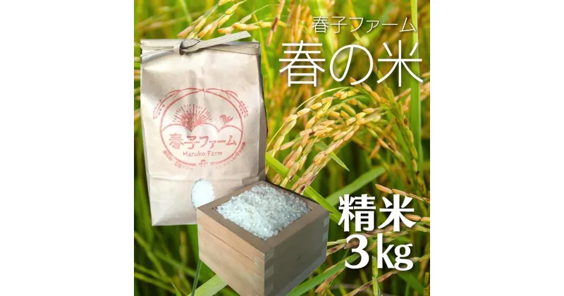 【ふるさと納税】令和6年産 春の米 精米 お米 3kg 国産 米 白米 精米 家庭用 東庄町 無農薬 無肥料 春子ファーム