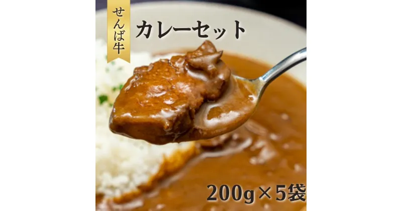 【ふるさと納税】せんば牛カレーセット 200g×5袋 計1kg