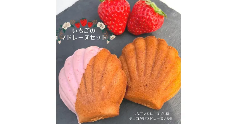 【ふるさと納税】いちごマドレーヌセット　いちご5個＋チョコがけ5個　計10個入り