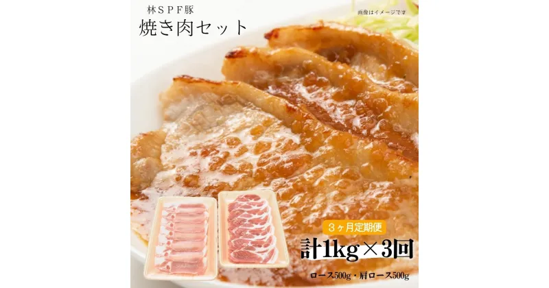 【ふるさと納税】 【3ヶ月定期便】 林SPF豚 焼き肉セット （シート巻き） 計1kg×3回