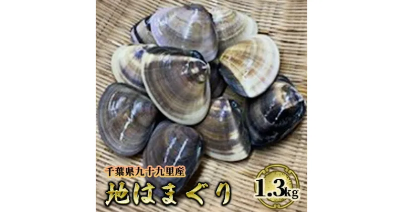 【ふるさと納税】九十九里地 はまぐり 1.3kg 蛤 魚貝類・はまぐり・蛤・地ハマグリ　 ハマグリ 貝 海鮮 魚介 魚介類 地ハマグリ